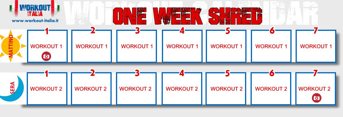 12 week shred workout pdf