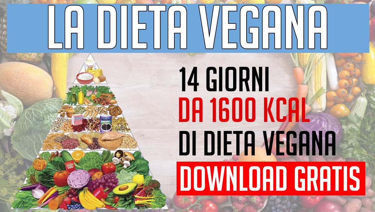 perdere peso dieta vegana menu perdere peso dieta vegana menu